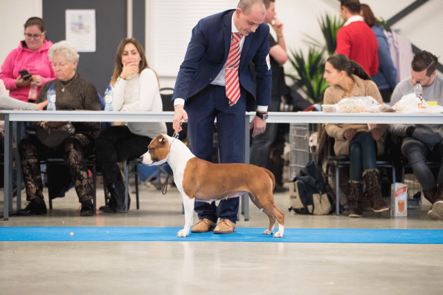 Bo4I0635 30973077190 O