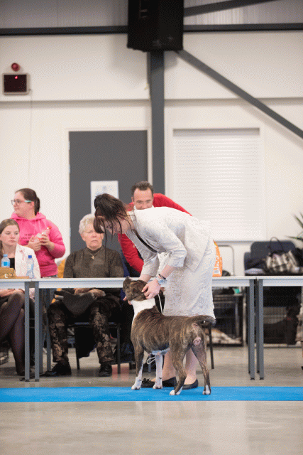 Bo4I0636 30973076990 O