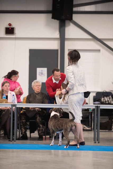 Bo4I0637 30519653664 O