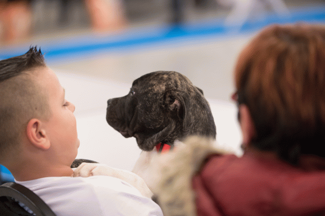 Bo4I0638 30973076670 O