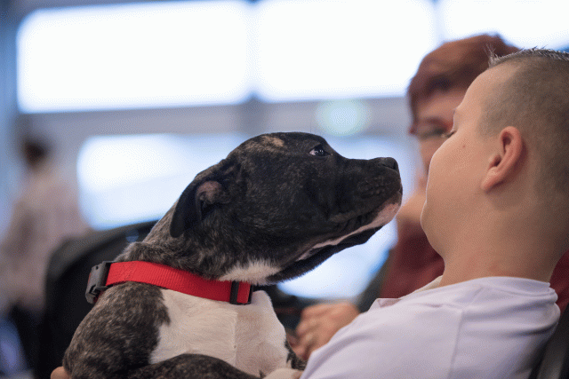 Bo4I0639 31306015356 O