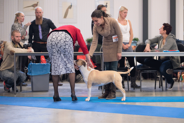 Bo4I0641 31227232941 O