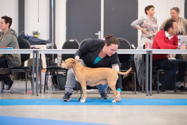 Bo4I0642 30534479683 O