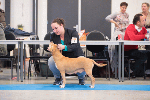 Bo4I0643 31227232481 O