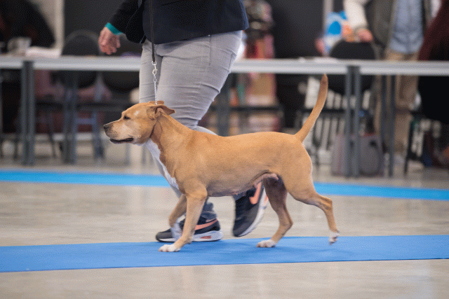 Bo4I0652 31227232721 O