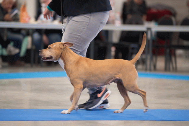 Bo4I0656 30534476063 O