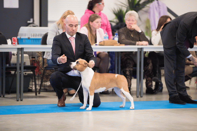 Bo4I0661 31227230091 O