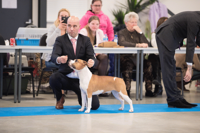 Bo4I0662 31227229571 O