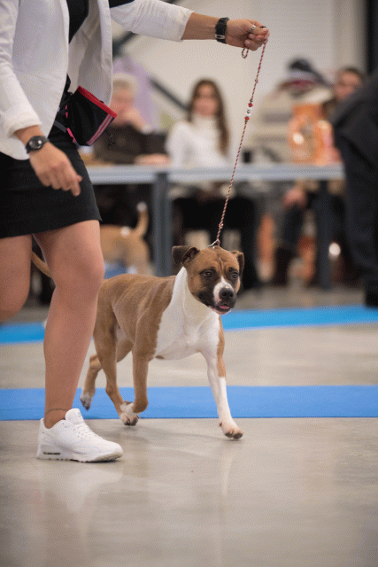 Bo4I0665 31342160275 O