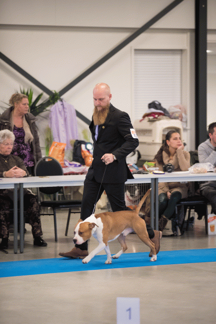 Bo4I0682 31306005876 O