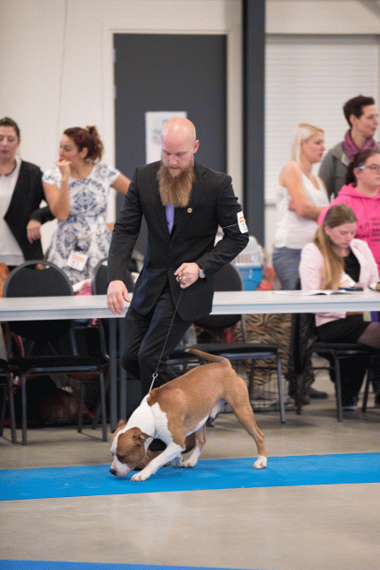 Bo4I0683 30519646924 O