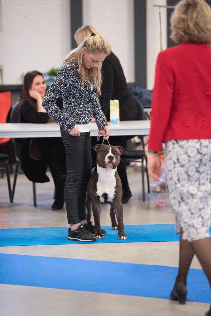 Bo4I0684 31227224171 O