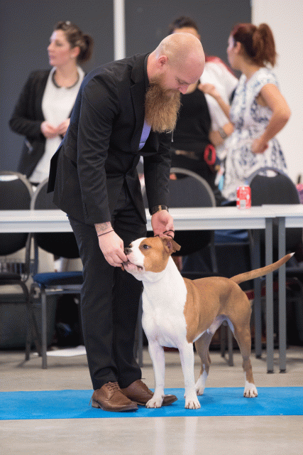 Bo4I0685 31197976552 O