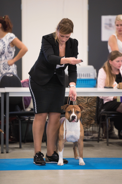 Bo4I0686 31306004696 O