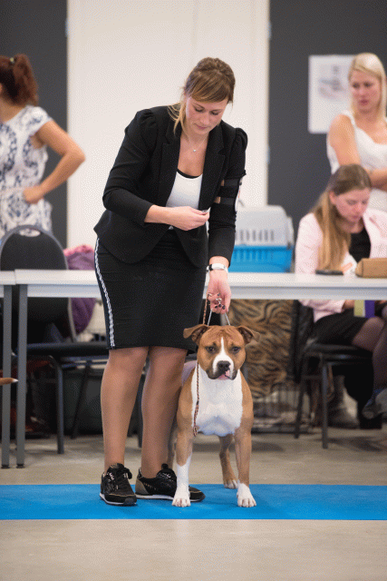 Bo4I0687 31197976202 O