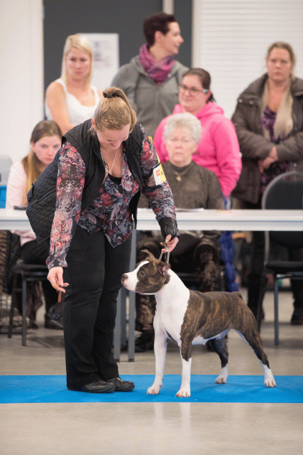 Bo4I0688 31227222921 O