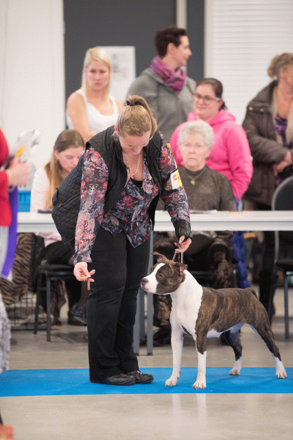 Bo4I0689 31306003816 O