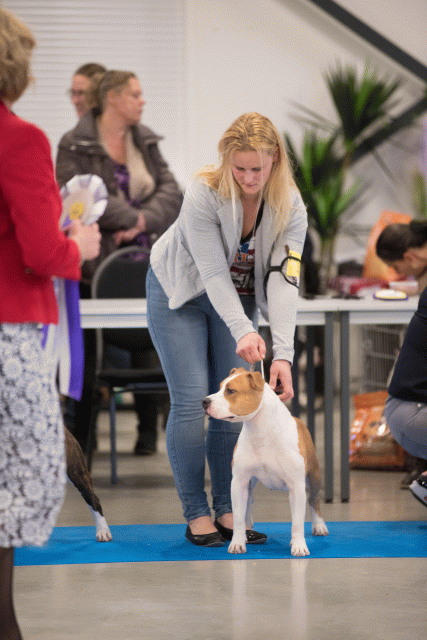 Bo4I0690 31227222321 O