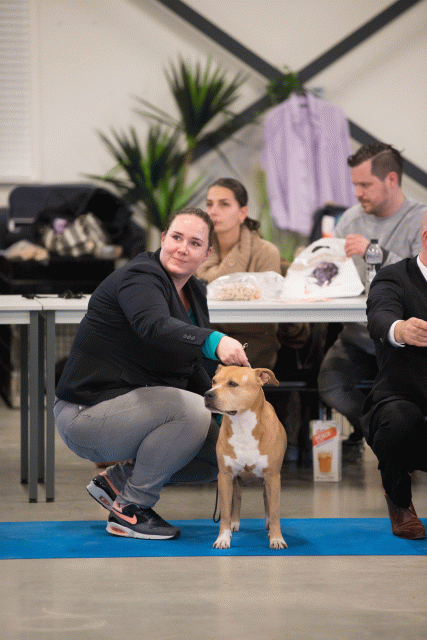 Bo4I0691 31342157725 O