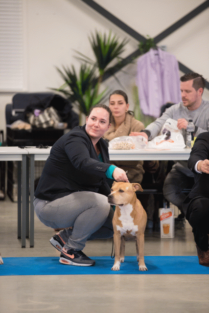 Bo4I0692 31227223211 O