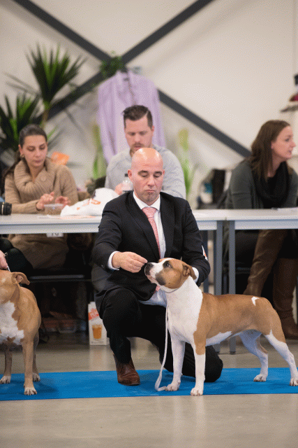 Bo4I0693 31342157425 O