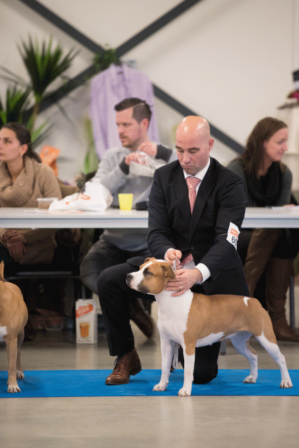 Bo4I0694 31306002946 O