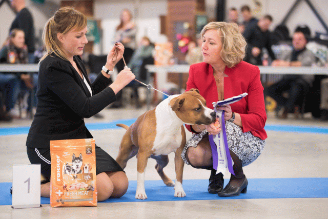 Bo4I0695 31342157245 O