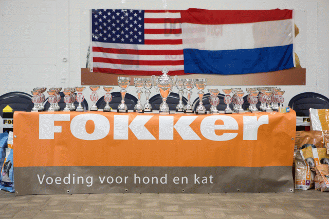 3Y3A3844 15330116206 O