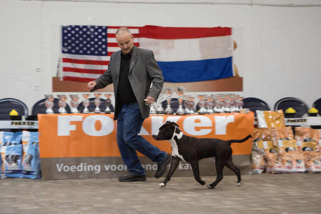 3Y3A3846 15349954391 O