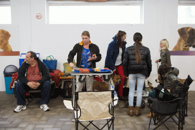 3Y3A3850 15330113886 O