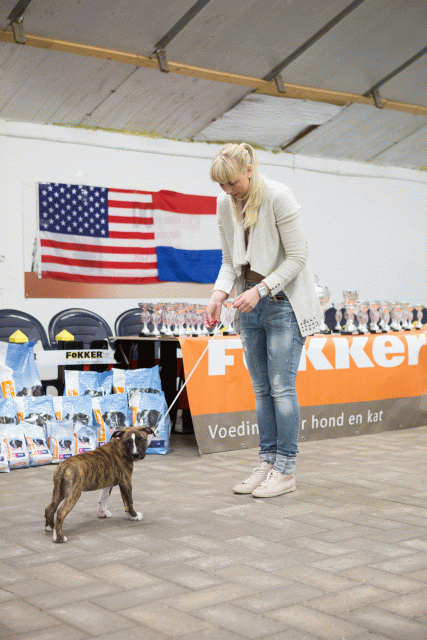 3Y3A3851 15166387549 O