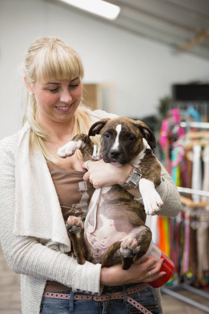 3Y3A3856 15166627327 O