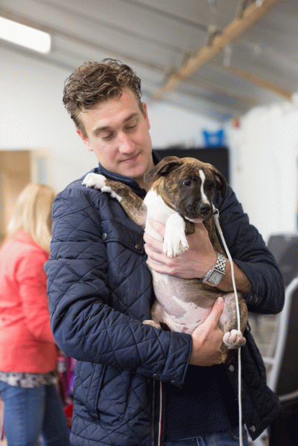 3Y3A3860 15166441190 O