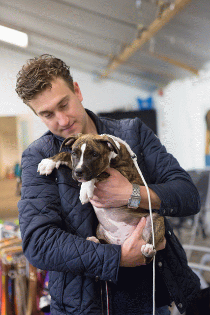 3Y3A3861 15353134145 O