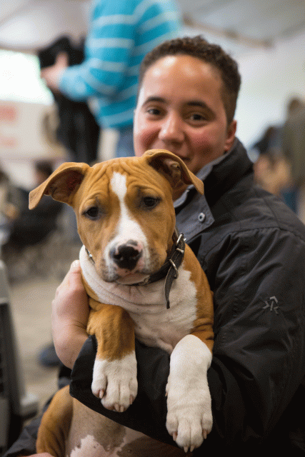 3Y3A3864 15330103826 O