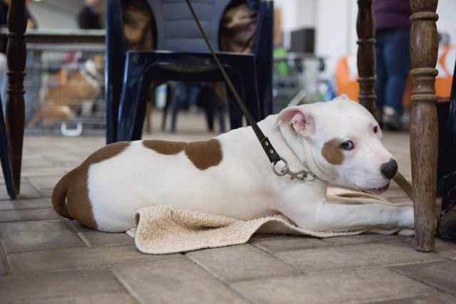 3Y3A3875 15349937351 O