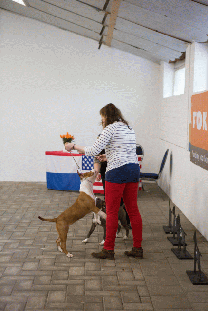 3Y3A3876 15166429910 O