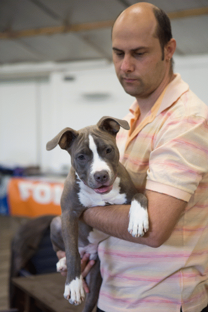 3Y3A3879 15353120855 O