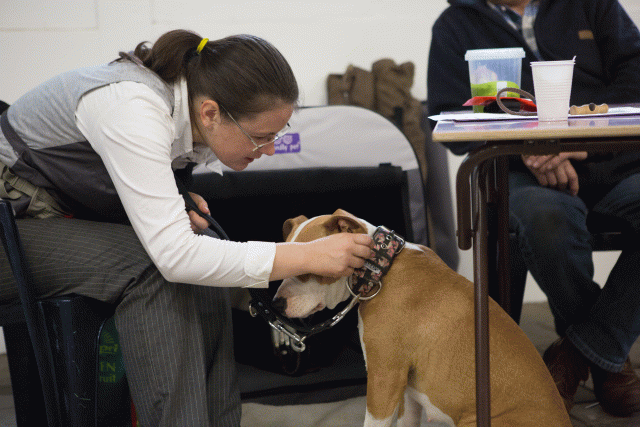 3Y3A3884 15166545668 O