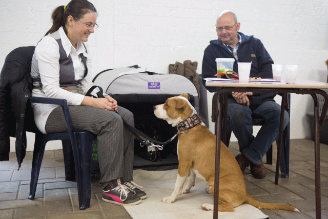 3Y3A3885 15353114455 O