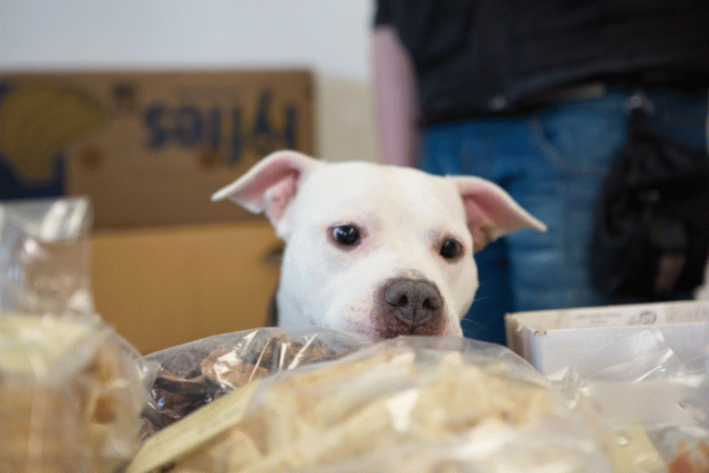 3Y3A3888 15166418770 O