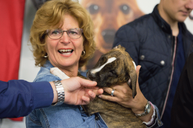 3Y3A3893 15352799302 O