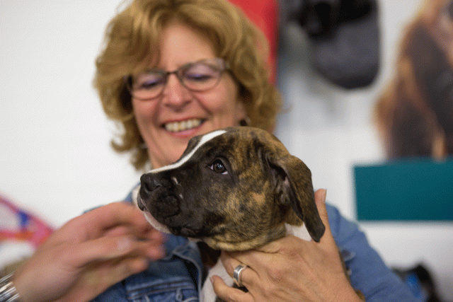 3Y3A3894 15166597897 O