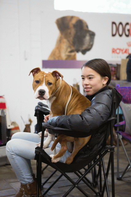 3Y3A3900 15349917771 O