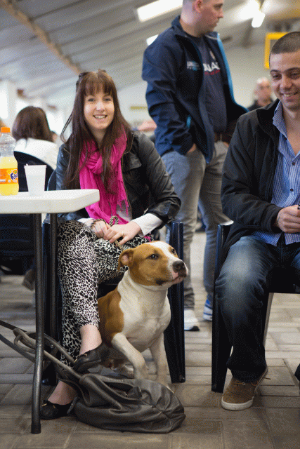 3Y3A3906 15166593847 O