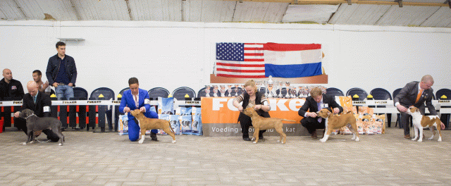 3Y3A3908 15330076446 O