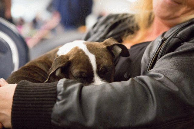 3Y3A3925 15166349989 O