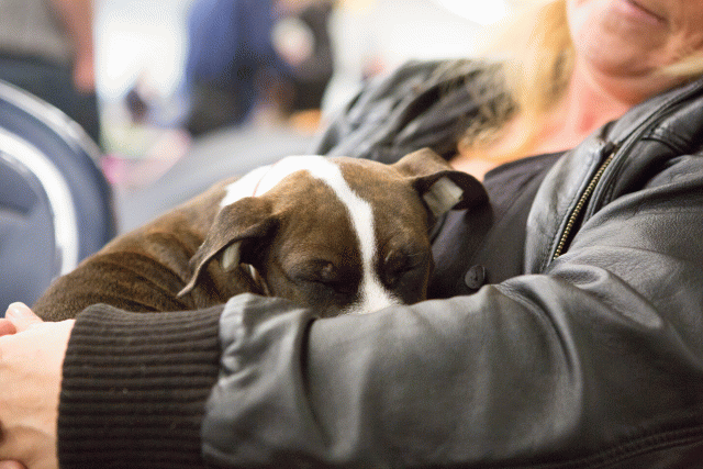 3Y3A3926 15330072836 O