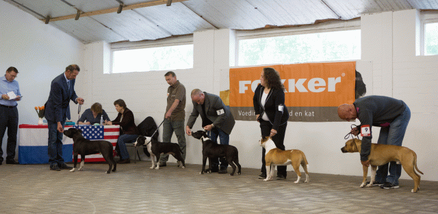 3Y3A3928 15166527458 O