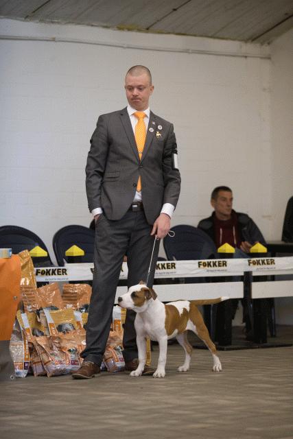 Cs3Q6485Babyk Catno 5 15166526688 O